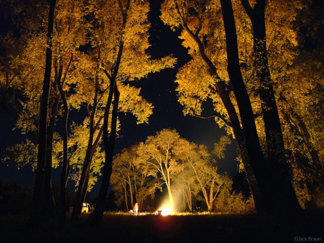 Cottonwood Bonfire